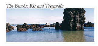 Ris and Tregandín beaches